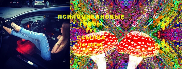 спиды Нефтегорск