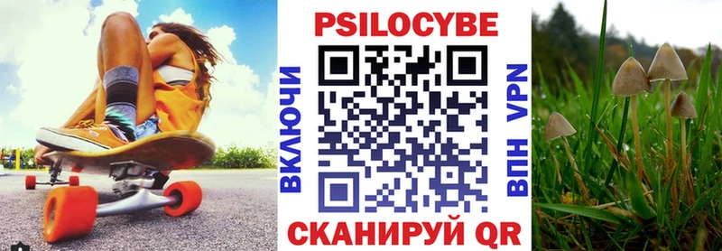 гидра сайт Новомичуринск Псилоцибиновые грибы MAGIC MUSHROOMS